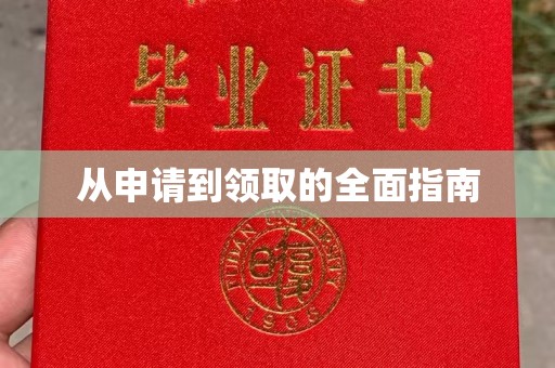 藤县从申请到领取的全面指南