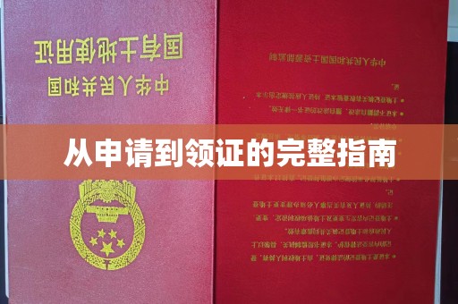 藤县从申请到领证的完整指南