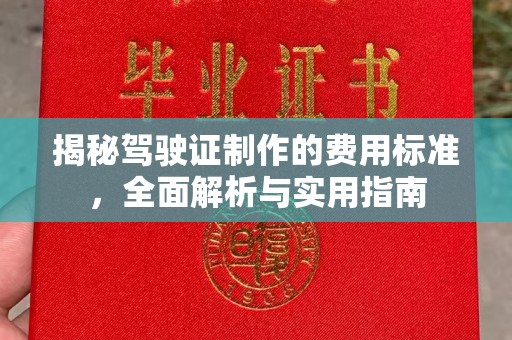 藤县揭秘驾驶证制作的费用标准，全面解析与实用指南